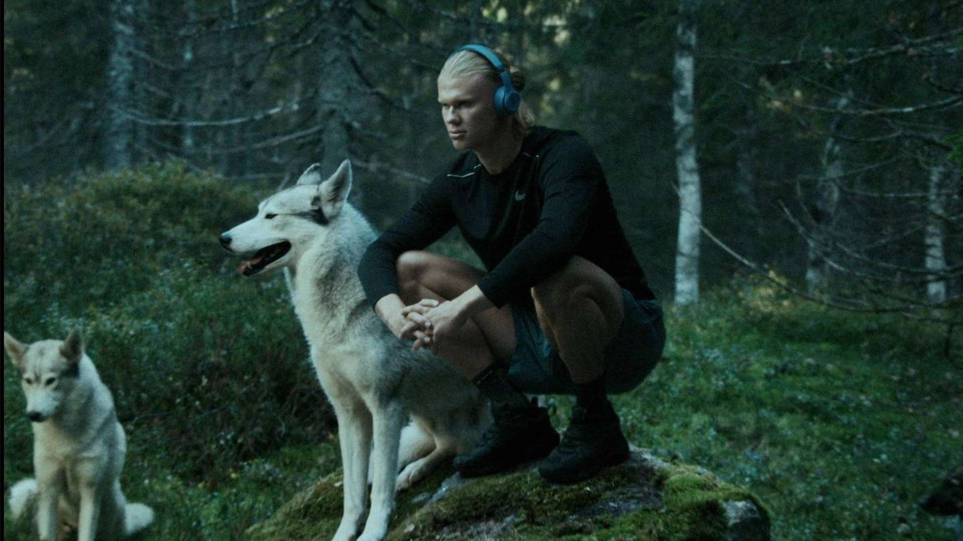 作为四次世 作为四次世