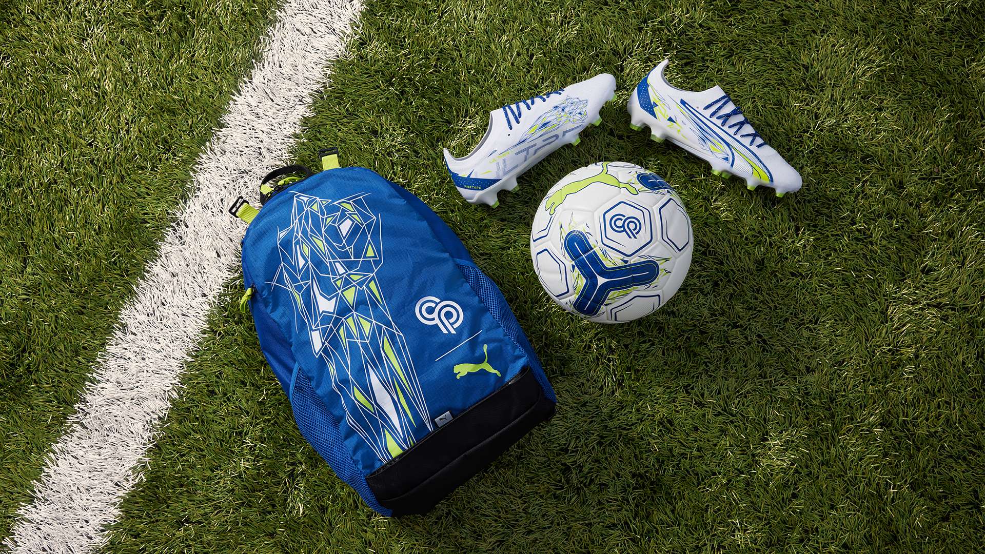 新老交替下 新老交替下