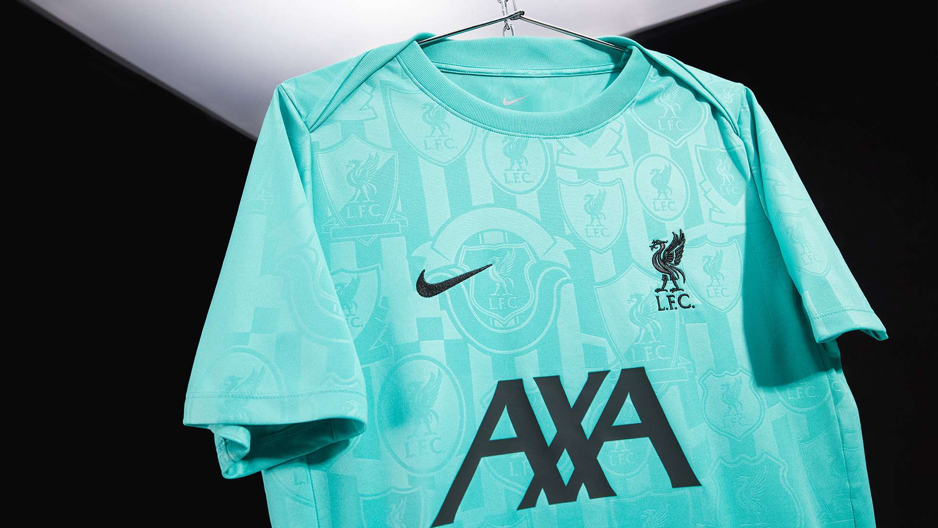 视野和多面 视野和多面